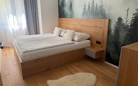 Apartmán Janské Lázně